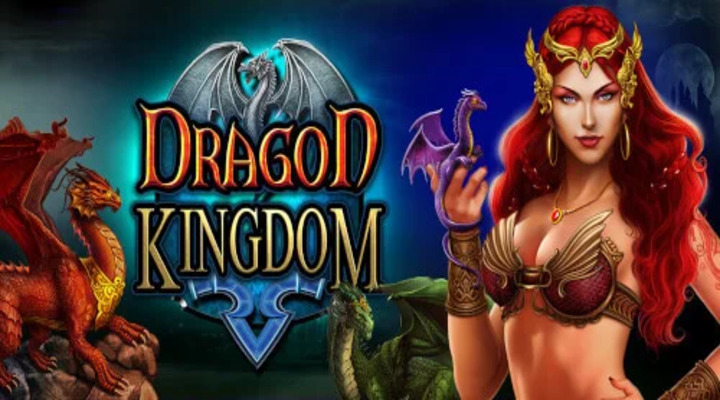 Dragon Kingdom Screenshot 1